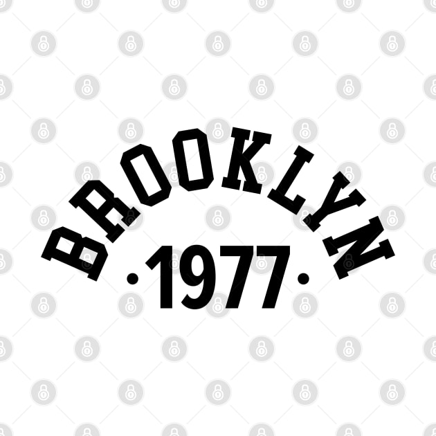 Brooklyn Chronicles: Celebrating Your Birth Year 1977 by Boogosh