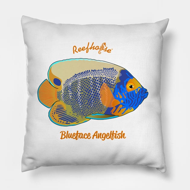 Blueface Angelfish Pillow by Reefhorse