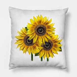 Sunflower Group Faux Watercolor Pillow