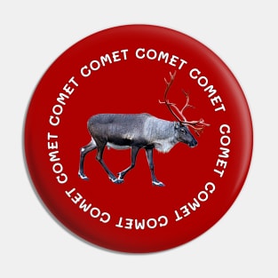 Comet Pin