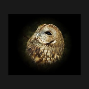 Tawny owl T-Shirt