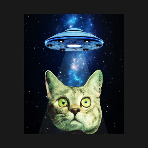 Cat UFO Space Galaxy by UNDERGROUNDROOTS