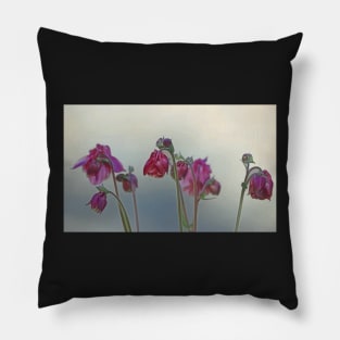 Columbines in the Mist Pillow