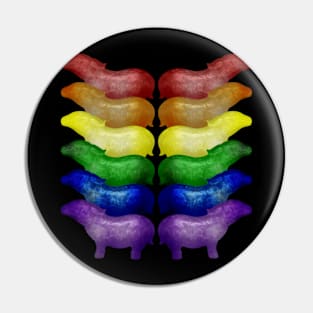 Mythical Rainbow Pigs Pin