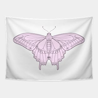 Black Swallowtail Butterfly in Pink Tapestry