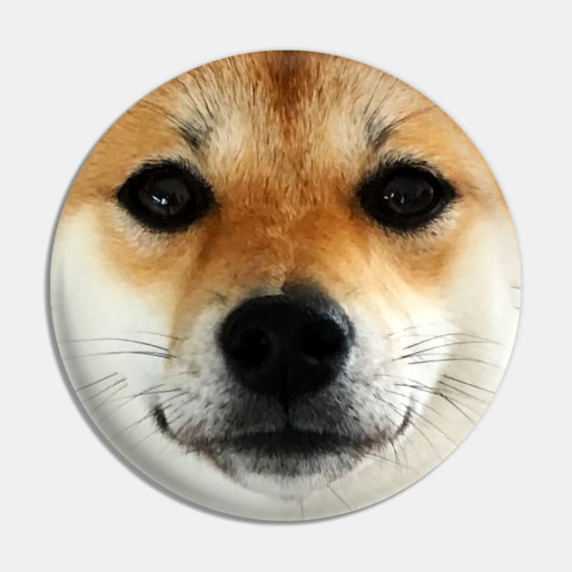 Lilly the Shiba Inu Cute Face Close Up Pin by shibalilly