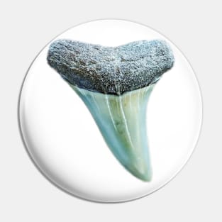 Pattern Blue Shark Tooth Fossil Print Pin