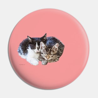 Sleeping Kittens Pin