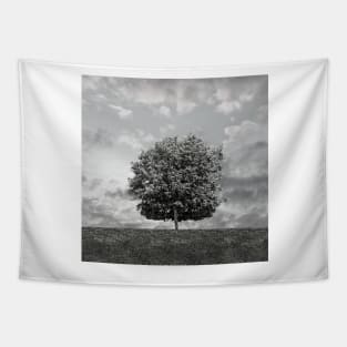 Tree On Hill Tapestry