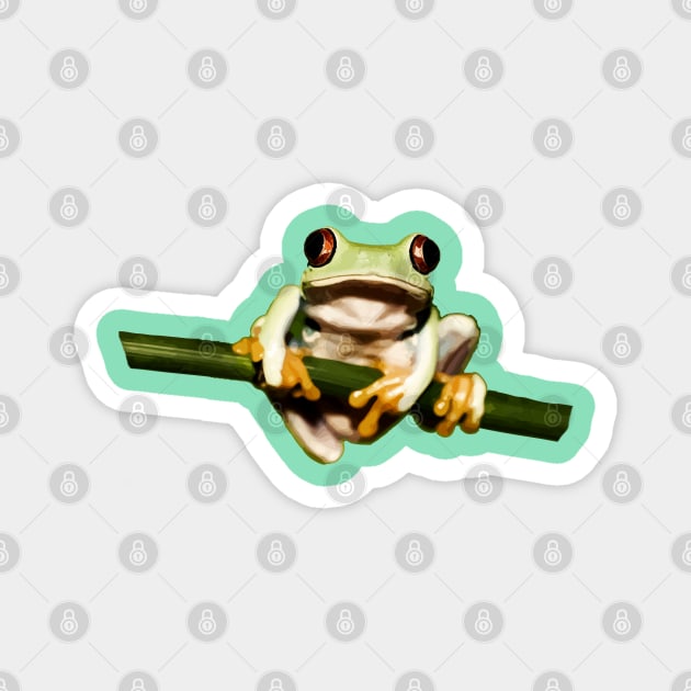 frog on branch Magnet by Lamink