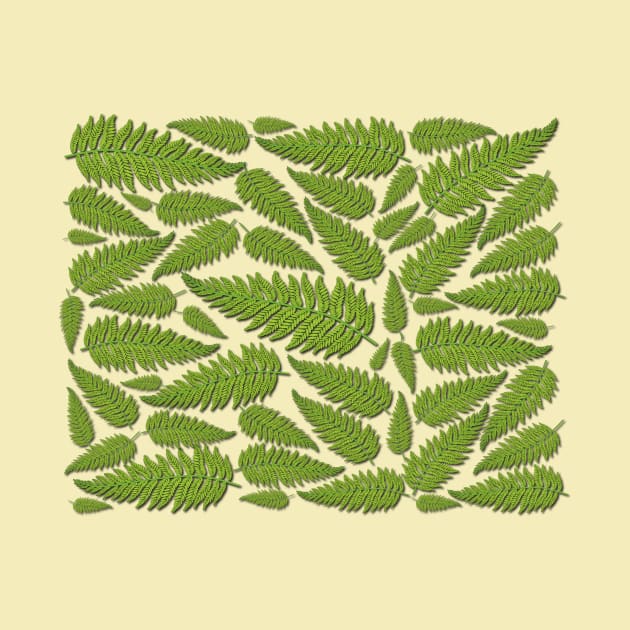 Ferns by Verl