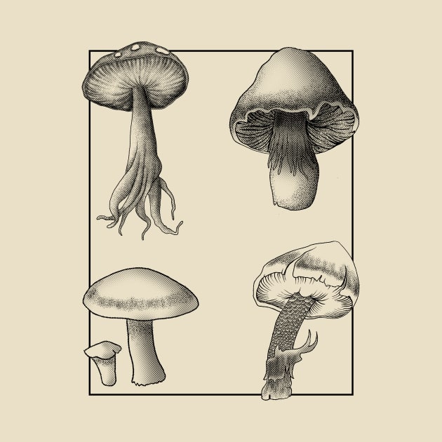 Botanical Mushrooms lineart by leepianti