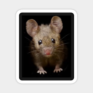 cute mouse Magnet