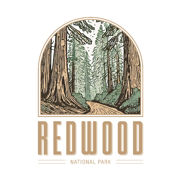 Redwood National Park by Curious World