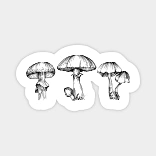 Mushrooms Trio Magnet