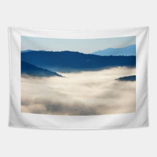 Morning Fog on the Blue Ridge Parkway Tapestry