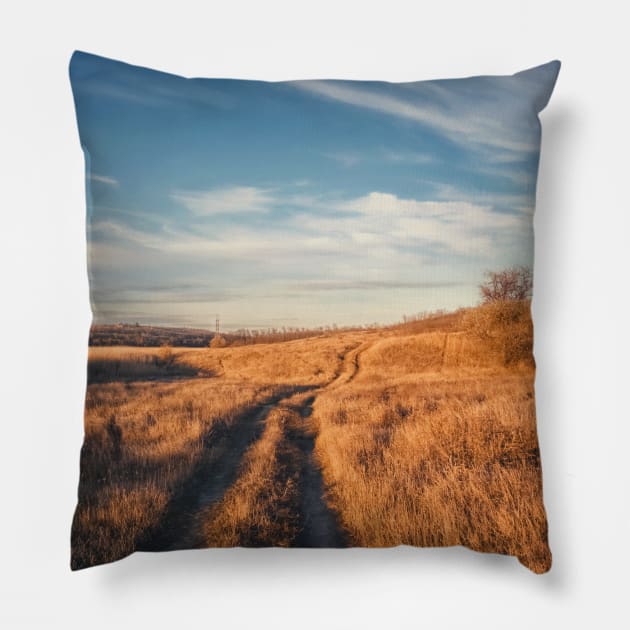 long trail Pillow by psychoshadow