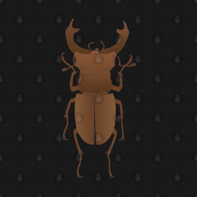 Stag beetle by FAawRay