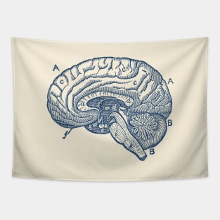 Simple Brain Diagram Tapestry