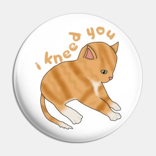 I Kneed you (fluffy orange cat) Pin