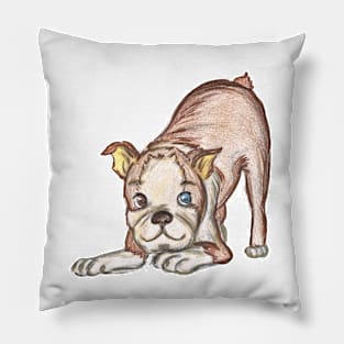 Doggust 2019 - 13 Boston Terrier Pillow