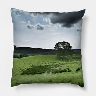 The contrast of midday -  farmland near Crieff, west perthshire, Scotland, UK Pillow