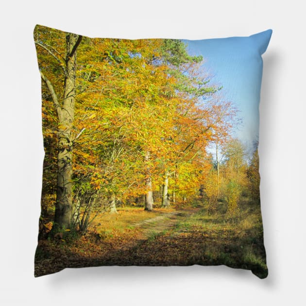 Vibrant Autumn Walk Pillow by Natural Distractions