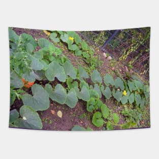 Pumpkin Blossom Foliage & Fruit Tapestry