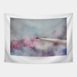 The Red Arrows Tapestry