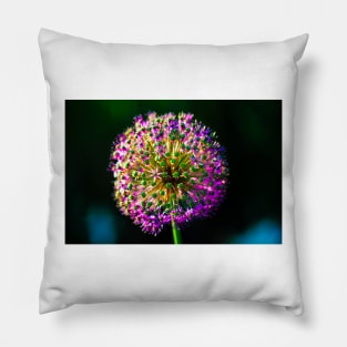 Close-up of  Allium Flower 5 Pillow