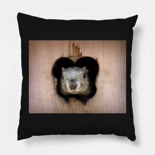 Mr. Squirrel is in the house Pillow