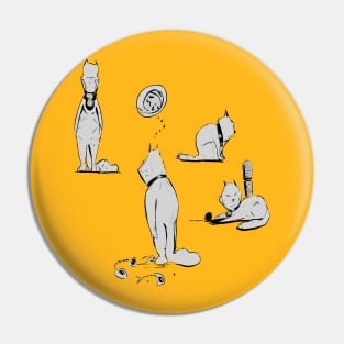 Kitty litter Pin