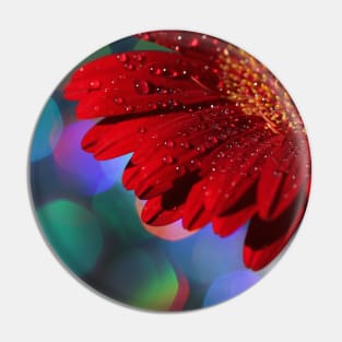 Red Rainbow Gerbera Pin