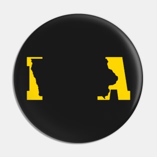 IOWA Pin