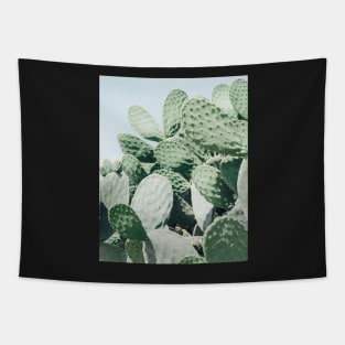 Plant print, Cacti, Cactus print, Scandinavian print, Scandinavian, Trendy print, Styled, Scandinavian art, Modern art, Wall art, Print, Minimalistic, Modern Tapestry