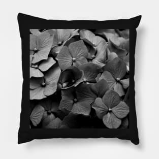 Hydrangea Pillow