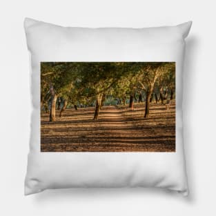 Canberra Cork Plantation 07 Pillow