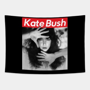 Kate bush - The Dreaming Tapestry