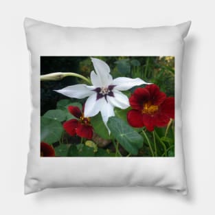 blossoms Pillow