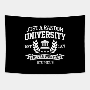 Just a random University I never went to Student (white design) Tapestry