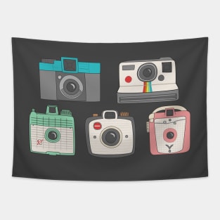 Vintage Cameras Tapestry