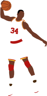 Hakeem Olajuwon Magnet