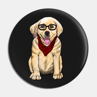 Dog wearing glasses and red scarf cute Golden Labrador retriever puppy dog Pin