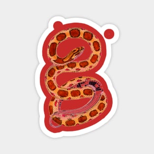 serpent,cobra,reptile,viper,venom,lizard,rattlesnake,king cobra,dragon,hydra,poison,venomous,plumber's snake,pythonidae,pythons,auger,python,squamata,serpentine,worm,big,ophidian,rattlesnakes,medusa,snakebite Magnet