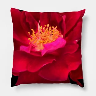 Red Flower Yellow Center Camellia Pillow