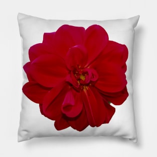 red flower Pillow