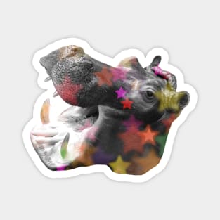 Hippo Disco Magnet