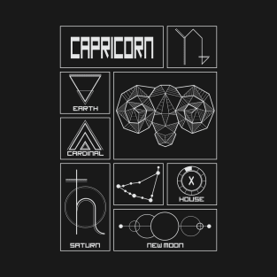 Capricorn Profile - Astrology Signs T-Shirt