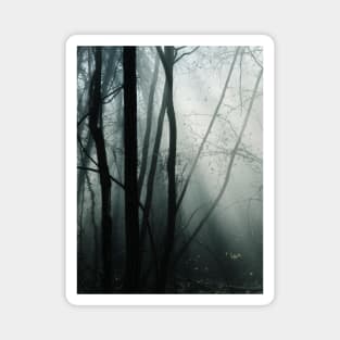 Moody Forest Magnet