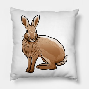 Cottontail Rabbit Pillow